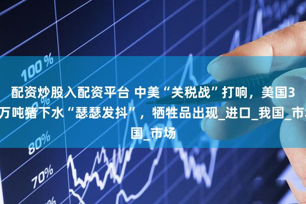 配资炒股入配资平台 中美“关税战”打响，美国32万吨猪下水“瑟瑟发抖”，牺牲品出现_进口_我国_市场