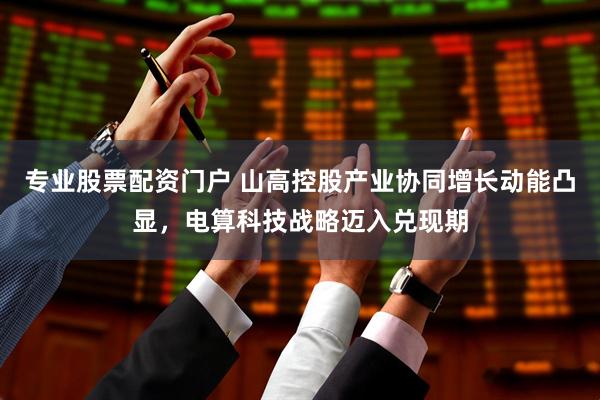 专业股票配资门户 山高控股产业协同增长动能凸显，电算科技战略迈入兑现期