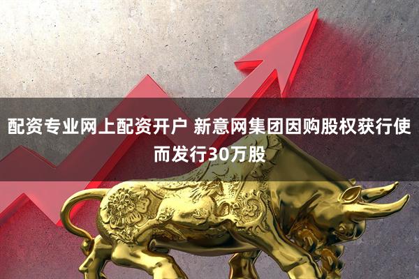 配资专业网上配资开户 新意网集团因购股权获行使而发行30万股